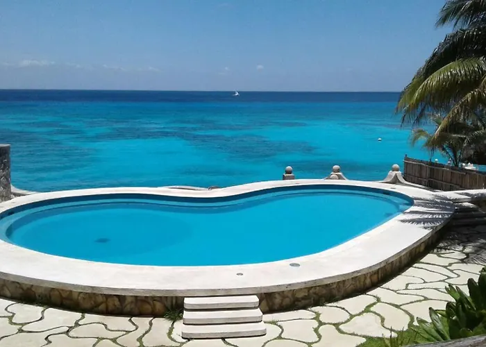 Tito's Paradise Cozumel