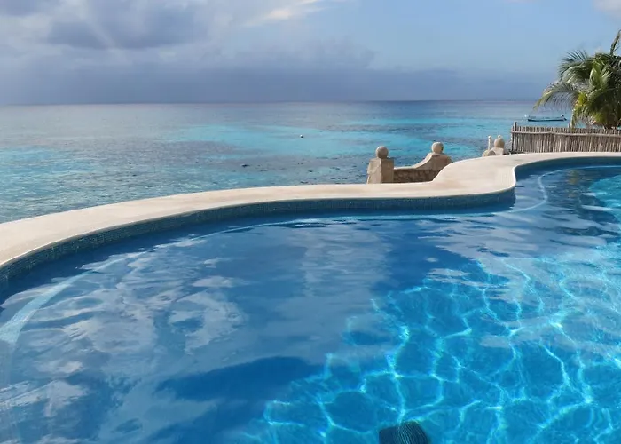 Tito's Paradise Apartment